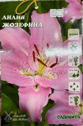 Лилия Жозефина 16/18 3 шт Садовита