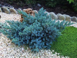 e98017e53133dd82c10ba058289b93ae