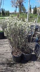 ffb3305c-a762-4d83-b602-7d8d0173